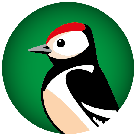 Specht-Logo des Waldkindergartens Die Buntspechte