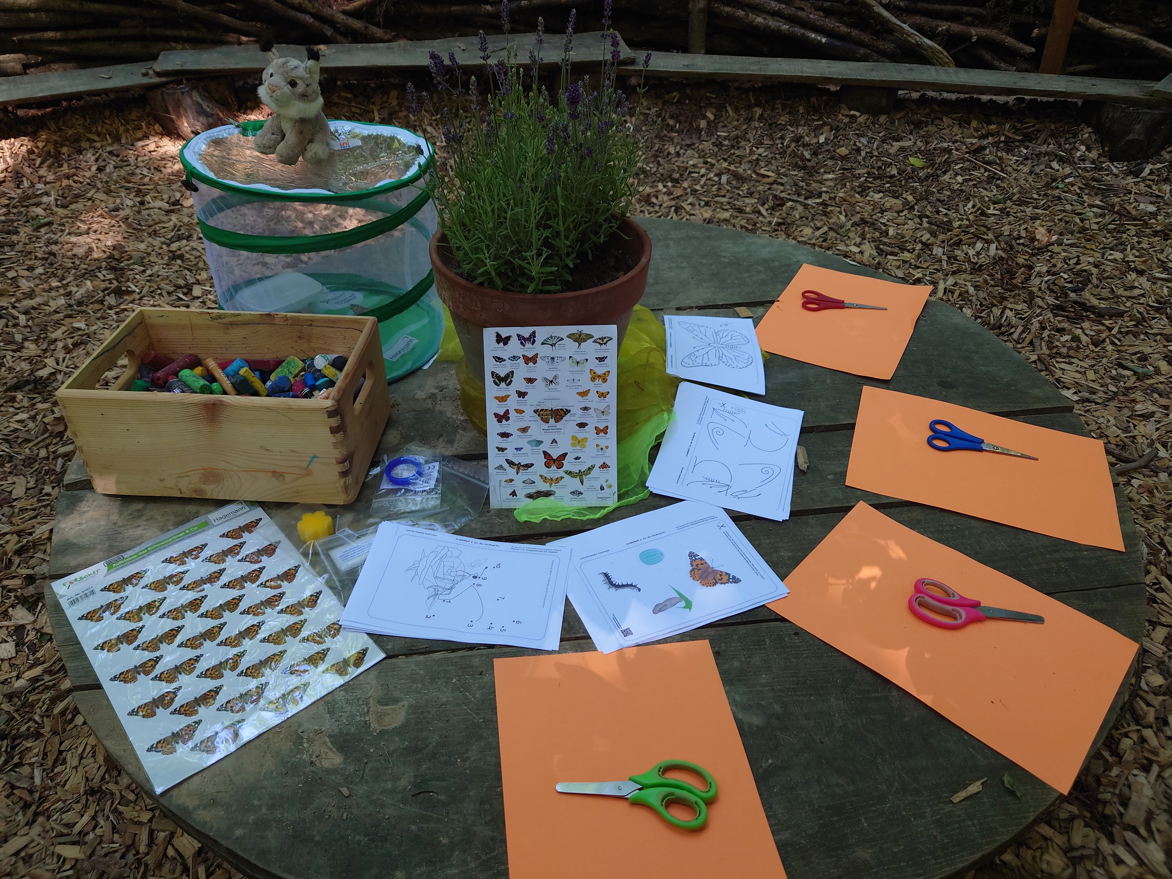 Basteltisch mit Naturmaterialien im Waldkindergarten