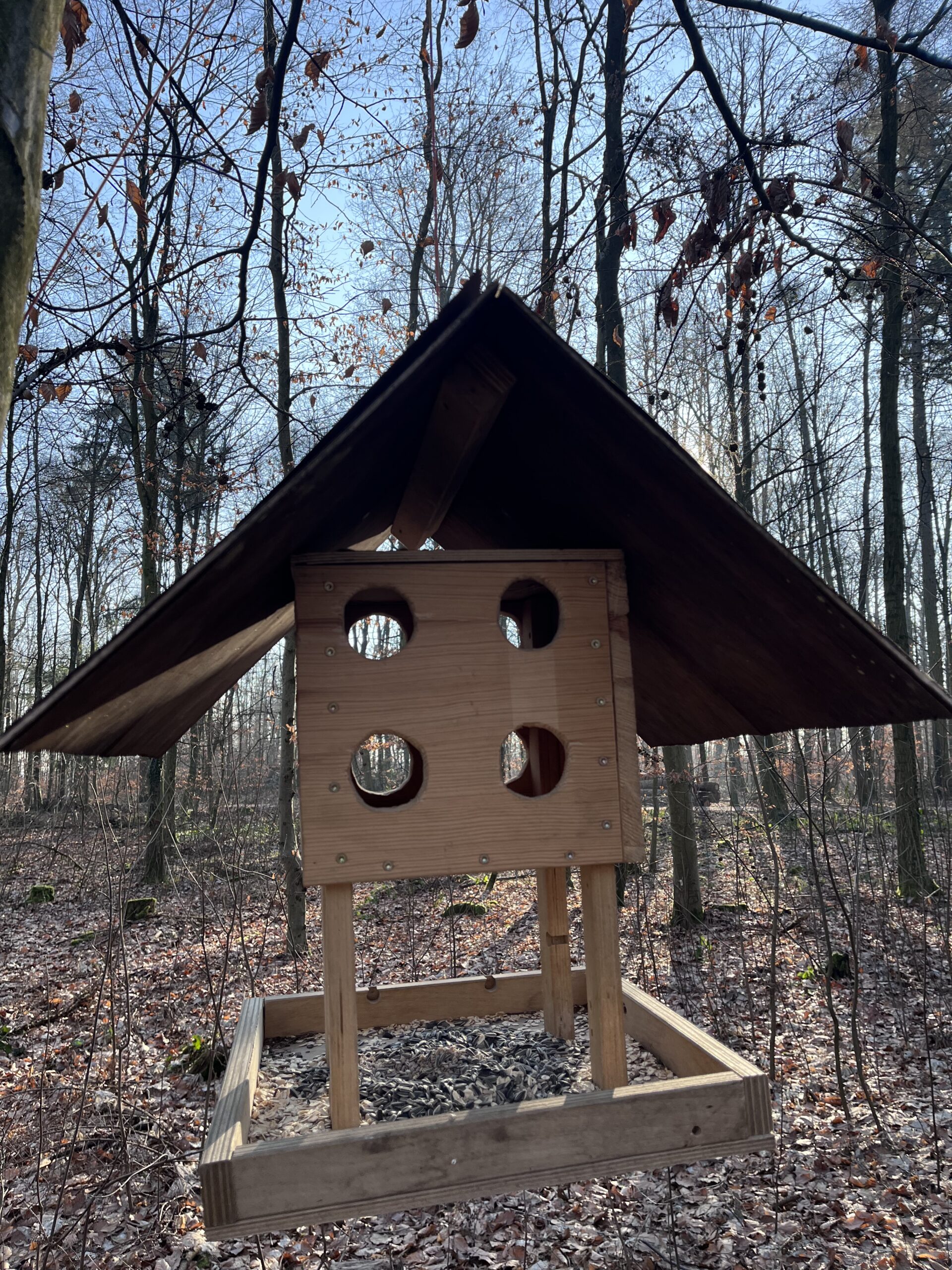 Kleines Holzhaus am Waldplatz des Waldkindergartens