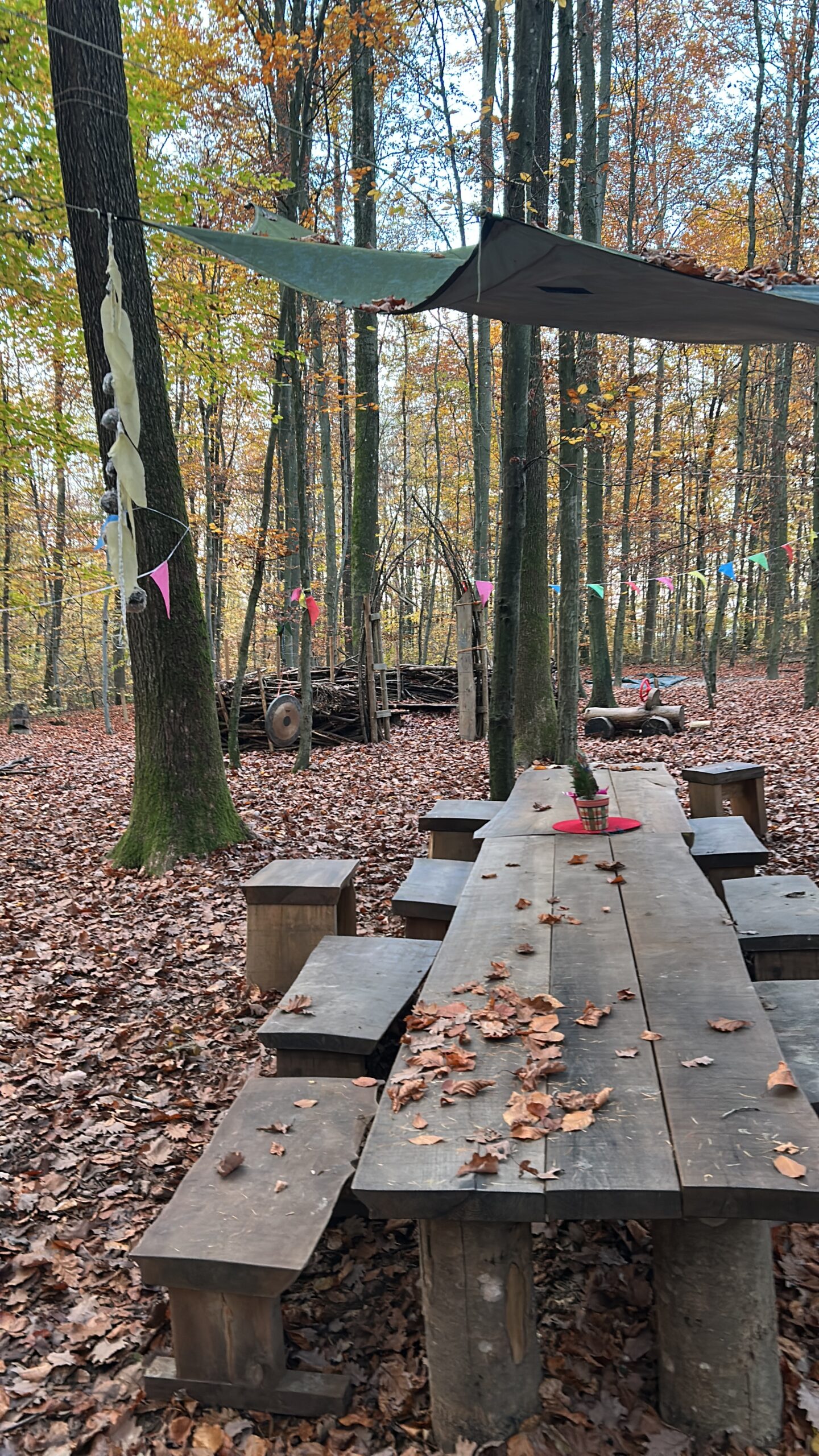 Picknicktisch am Waldplatz des Waldkindergartens